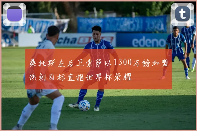 桑托斯左后卫索萨以1300万镑加盟热刺目标直指世界杯荣耀