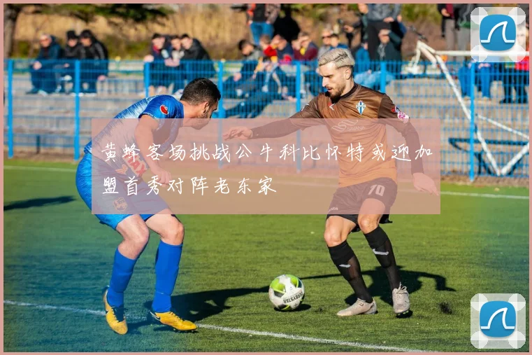 黄蜂客场挑战公牛科比怀特或迎加盟首秀对阵老东家