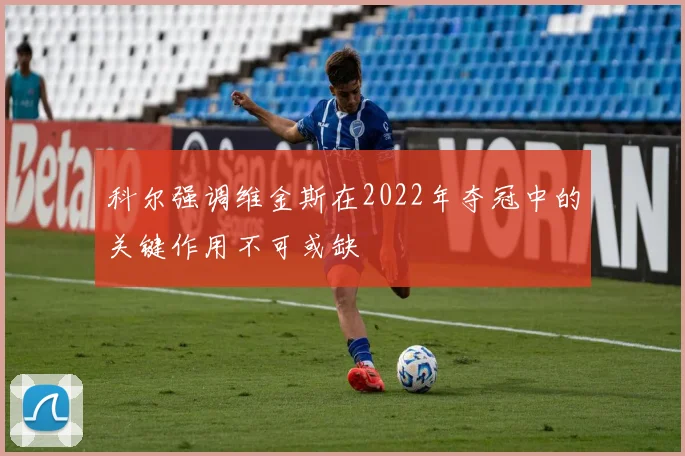 科尔强调维金斯在2022年夺冠中的关键作用不可或缺