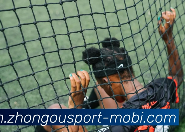 多媒体互动体验